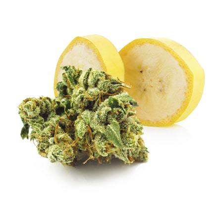 Bananimal Cannabis Seeds