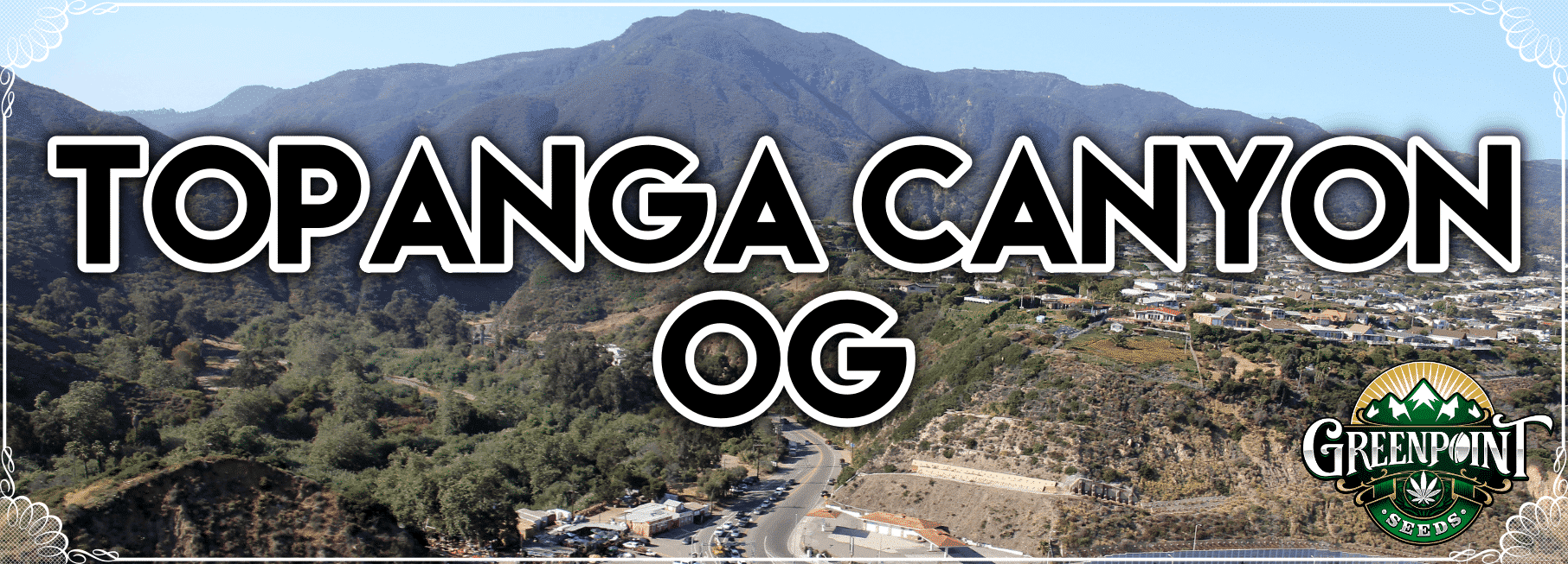 Topanga Canyon OG
