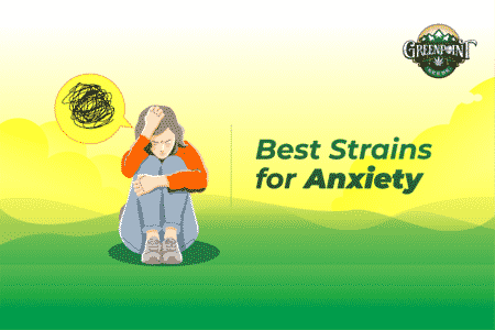 Best strains for Anxiety